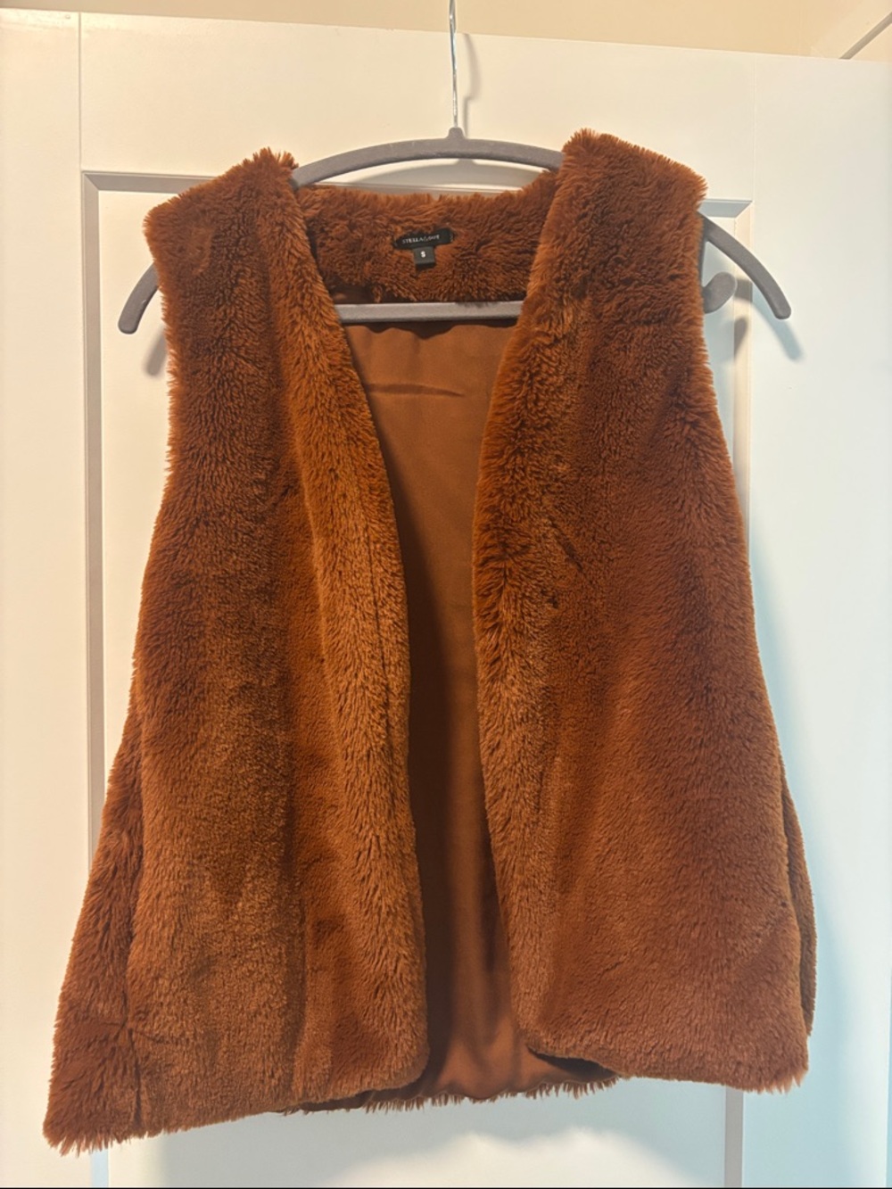 Stella & Dot Plush Faux Fur Vest in Burnt Orange